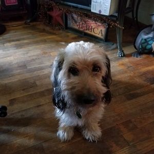 Meet your Posher, Robin